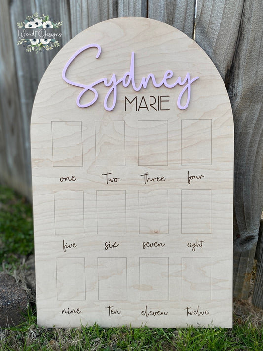 First Year Photo Boards