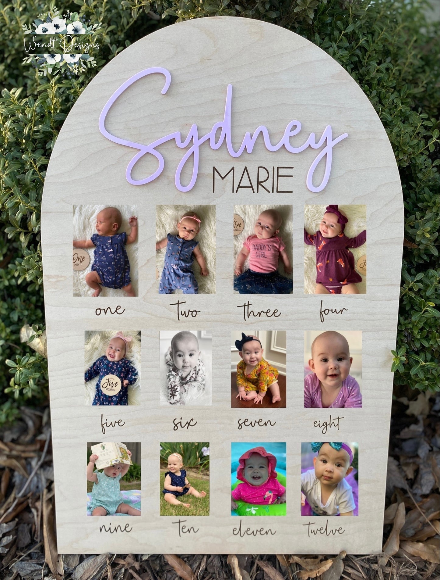 First Year Photo Boards