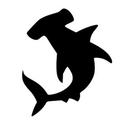 Hammerhead - WS